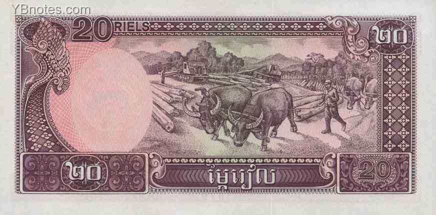 С