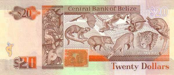 С
