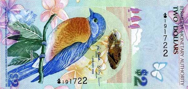 С